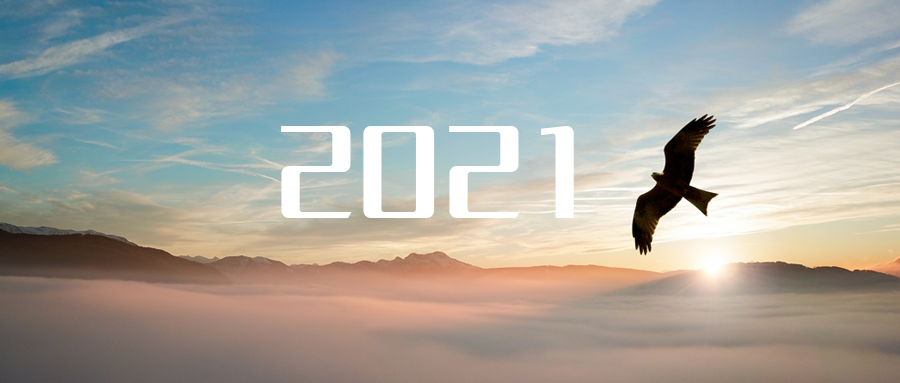 乘“峰”而上，智“盈”未來 ——2021年平博pinnacle官方网站環境高級資深副總裁新年開工動員